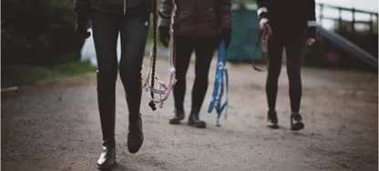 Bild på utbildningen Bli ett Schysst stall – repetition